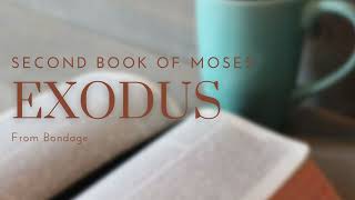 Exodus  20  ESV