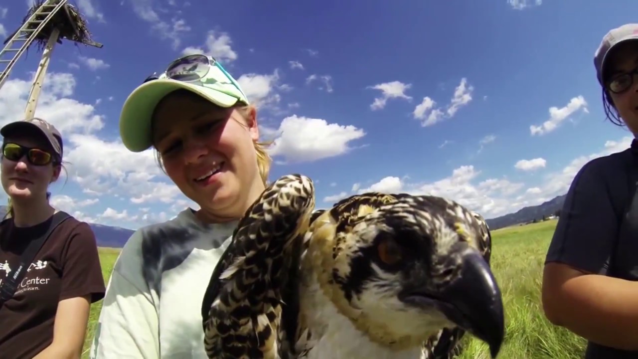 Video Placeholder Image