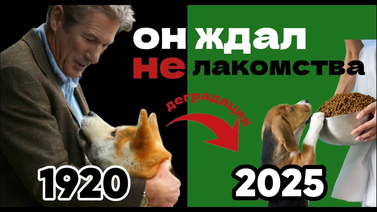 С чего начать дрессировку? Методы дрессировки: ожидание и реальность.