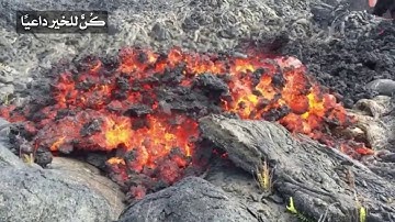 (بلى من اوفى بعهده واتقى) اجمل تلاوه من سوره ال عمران للقارئ محمد اللحيدان