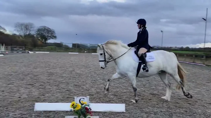 Tally and Loughkeeland Ringmaster Prelim 14 - Clas...
