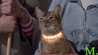 The CAT from OUTER SPACE (1978) Sandy Duncan Pool Table Trickshot Scene