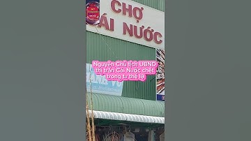 Nguyên Chủ tịch UBND thị trấn Cái Nước #tinnong #tintuc #tinnong24h