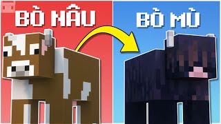 Bạn Chưa Biết Hết Về BÒ Trong Minecraft