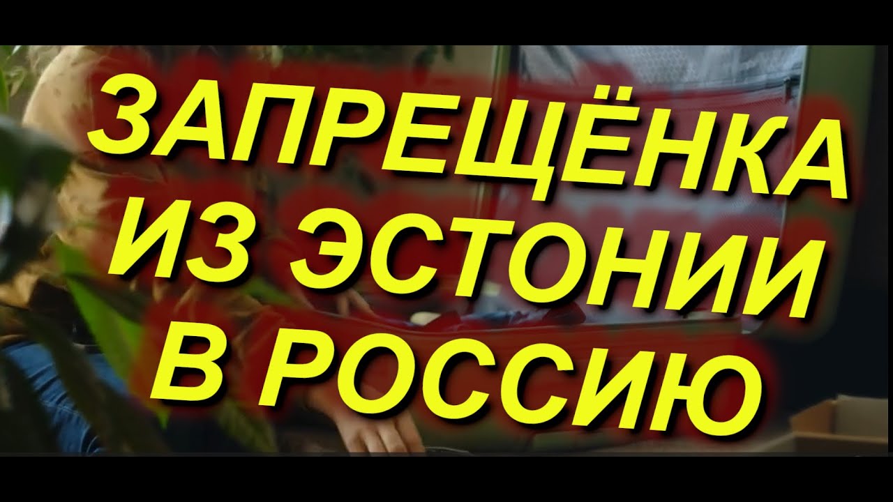 ЗАПРЕЩЁНКА ИЗ ЭСТОНИИ В РФ.Что запрещено вывозить? Таможенные правила Эстонии: наземный тр-т +пешком