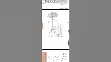 Lucknow University|| B.Sc. Biology(NEP) Sem-6II Botany Practical File II Plant Physiology