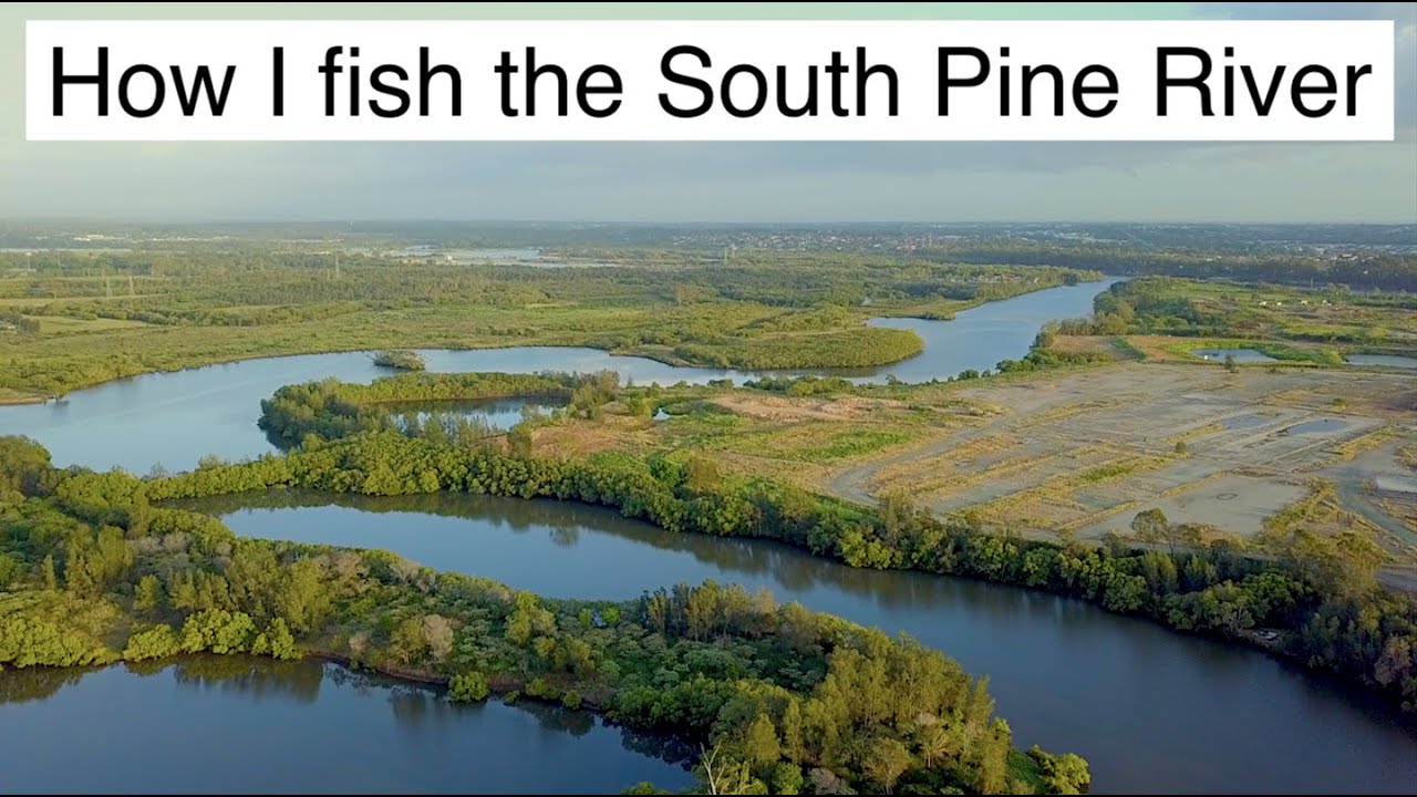 How I fish the South Pine River  Wayne Groomes