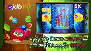 bird party 2 screenshot 5