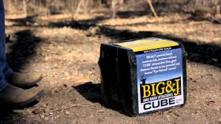 Dream Chasers Late Season Inventory with Judd Jarzynka