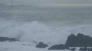 Ghost Tree Surfer Engulfed