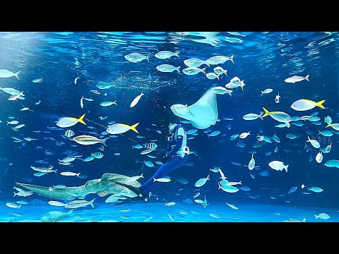 Sunshine Aquarium FULL TOUR REVIEW @ SunShine CITY Toshima City Tokyo Japan ????????