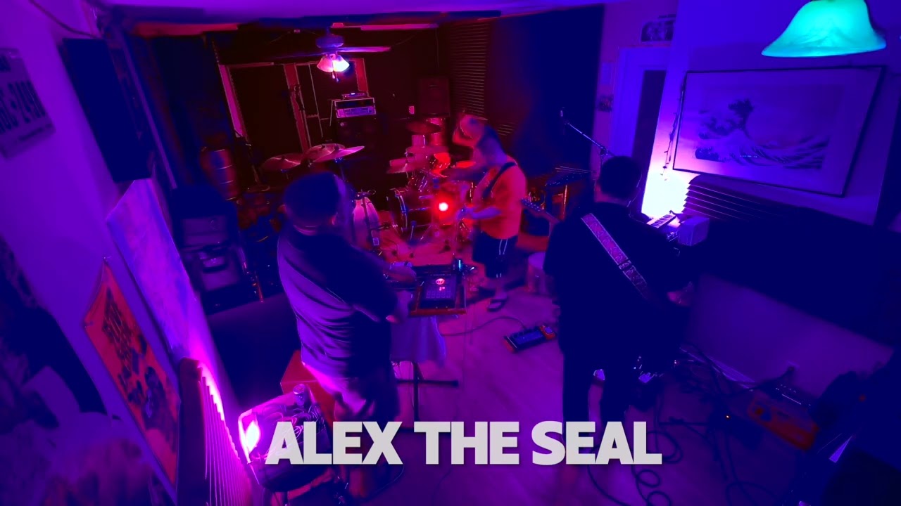 Alex the Seal