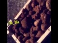 هذي نهاية الدلع