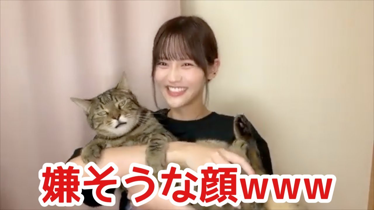 髙松瞳 イコラブ ミニフォト シュークリーム レア 猫 イコラブ 髙松瞳 ミニフォト - メルカリ