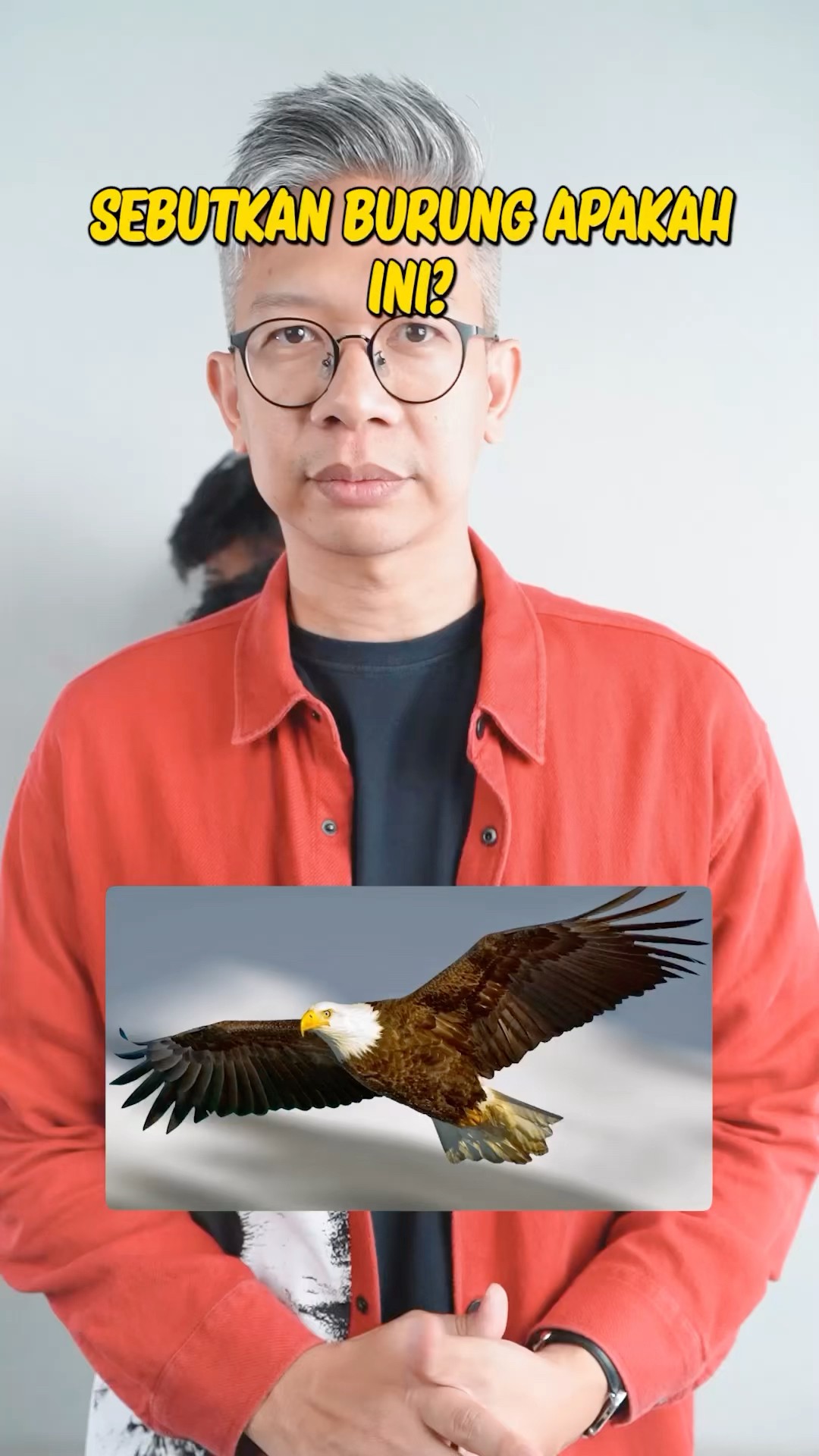 SEBUTKAN JENIS BURUNG APA INI??!!