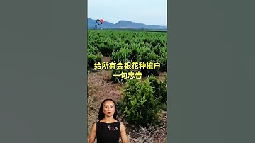 #fcnfm Unlocking the Potential of Drying Machines for Sustainable Food Processing.