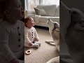 Husky Howls Baby Answers Perfectly#viral #shortvideos #dog