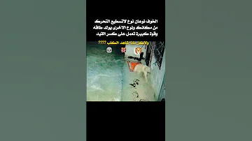 الخوف تعبير عن الخوف انواع الخوف خوف الكلاب تصاميم حالات واتس عبارات معلومات 