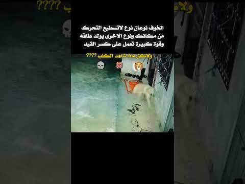 الخوف تعبير عن الخوف انواع الخوف خوف الكلاب تصاميم حالات واتس عبارات معلومات