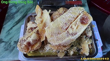 Vắt Mật Ong Rừng | Ong Rừng Đông Bắc