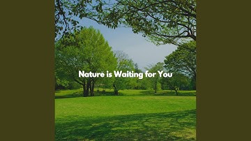 Pulsating Ambience for Thoughtful Vibes