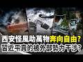 中國與周邊國家衝突、天災與AI/房市政策觀察