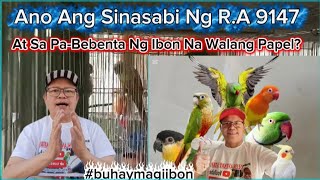 Ano Ang Sinasabi Ng R.A. 9147 At Sa Pag-Bebenta Ng Ibon Na Walang Papel? #buhaymagiibon 