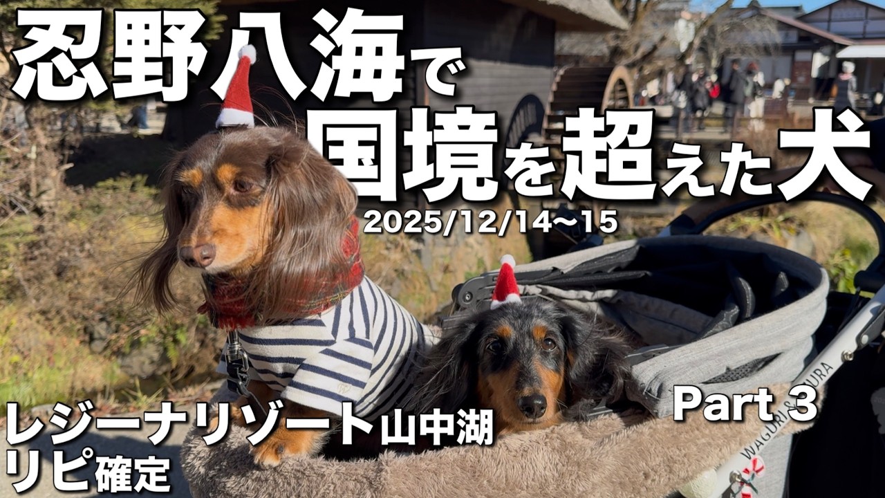 忍野八海で英会話？！【犬連れ山中湖旅モデルコースあり】冬のレジーナリゾート山中湖