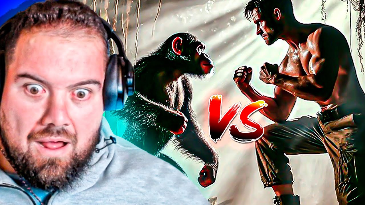 humano vs gorila? Biólogo y Jordi wild nos cuentan las batallas más locas