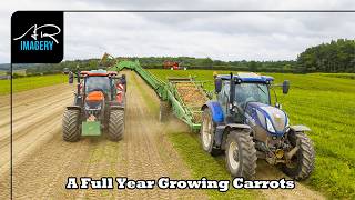 A Full Year Growing Carrots | Seedbed to Winter Harvest at Gilfresh Produce
