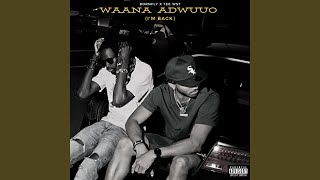 Waana Adwuuo im Back