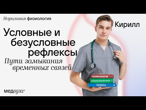 Условные и безусловные рефлексы | Пути замыкания временных связей | Нормальная физиология