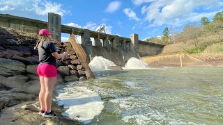 This GIANT SPILLWAY was STACKED and the Slab Queen SMOKED THEM! *CATCH and COOK* Easy Fish Tacos!