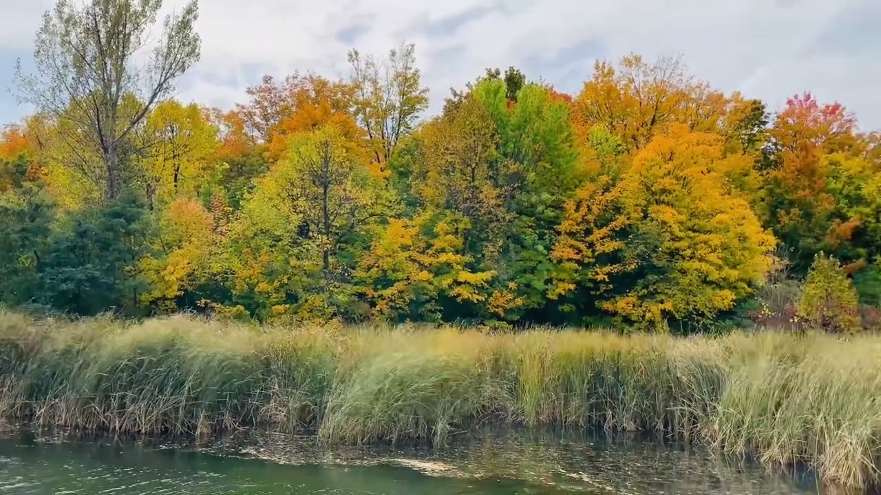2025 Toronto Milliken Park Lake