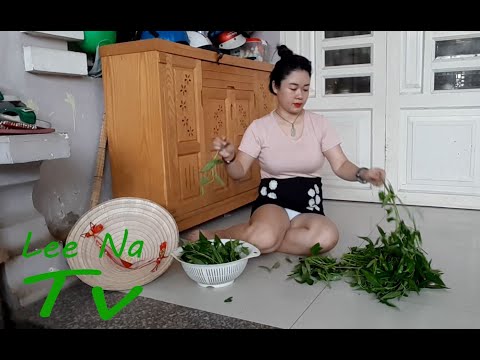 Beautiful Single Mom Pick Up Cooking Spinach || Lee Na Tv