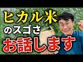 ヒカルが米不足問題を解決？
