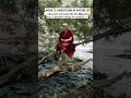 MONK MEDITATION||SACRED MEDITATION #healing#meditation