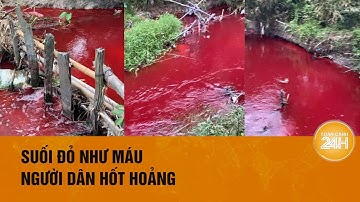 Bình Phước: Kỳ lạ Nước Suối xuất hiện màu đỏ như máu| Toàn cảnh 24h