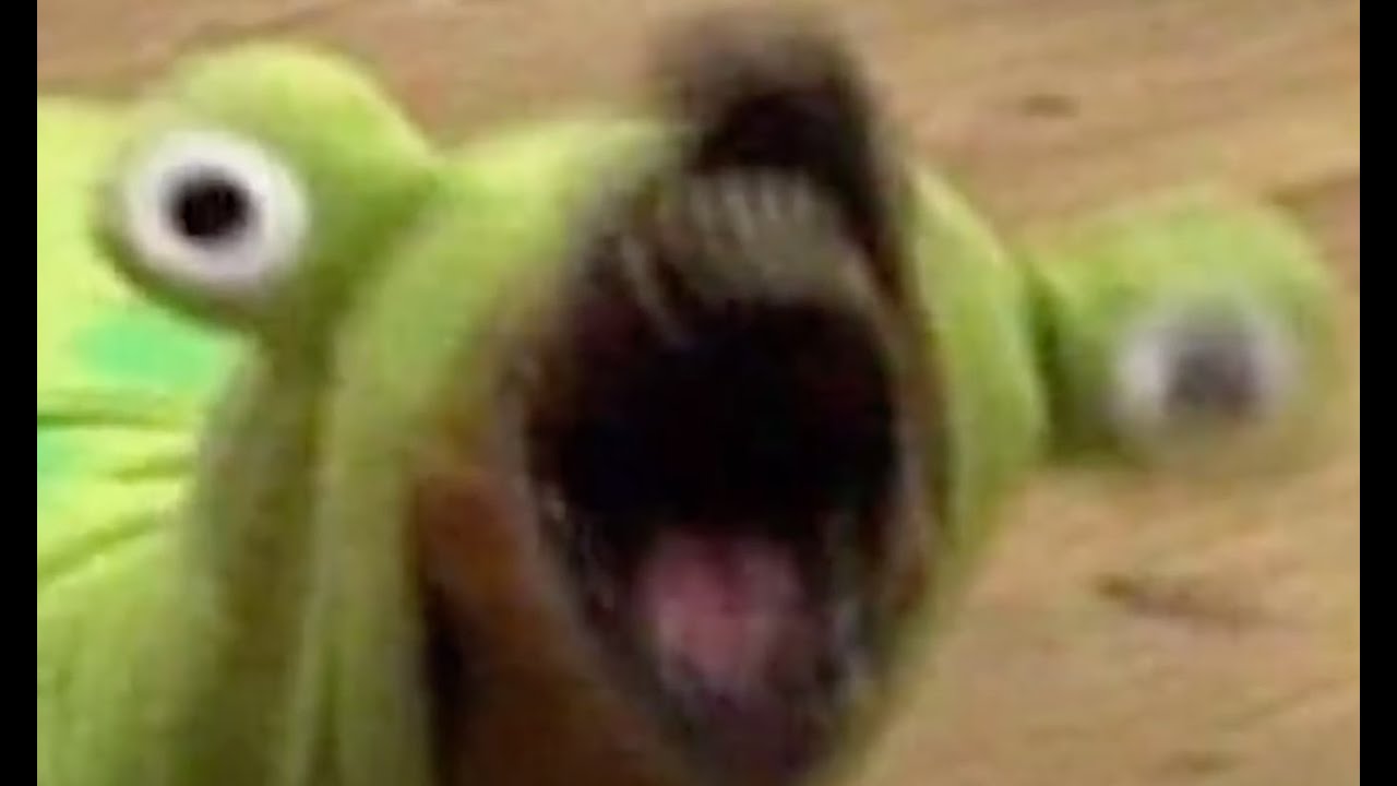 ASMR: The Doctor Will See You Now from Moshi Monsters shower edition