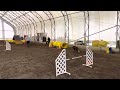 Jessica patterson seminar october 2830 2022 pitt meadows bc high run dog sports