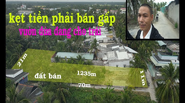 bán gấp 1235m đất vườn tại Vĩnh Hựu Gò Công Tây - Tiền Giang rất thích hợp để làm nghỉ dưỡng