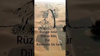 🌸Rüzgar Özür Dilese Bile Dal Kırılmıştır Bir Kere😔