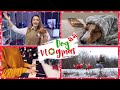 DOG VLOGMAS🎄:ПРАЗДНУЕМ РОЖДЕСТВО | У ЛИЗЫ СИЛЬНЫЕ ПРИСТУПЫ | МНЕ ОПЯТЬ НУЖНА ОПЕРАЦИЯ | О ПЛАНАХ