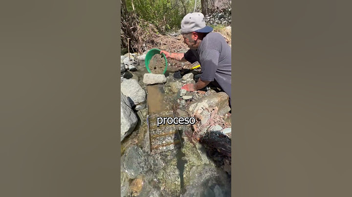 Cuanto ORO puedo ENCONTRAR usando una ESCLUSA