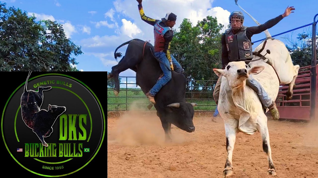 Dia de Treino na Cia DKS BUCKING BULLS 