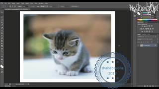 Adobe Photoshop CS6   Adobe Photoshop CS6  Creating Borders  Tutorial