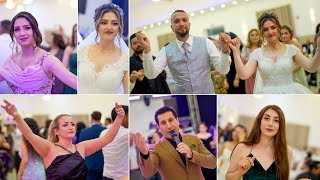 Mustafa Xalid 2023 || Sami & Renna  Kurdische Hochzeit || مصطفى خالد رقص شيخاني