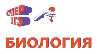 ЕГЭ. Биология. 4.4. Трансляция.