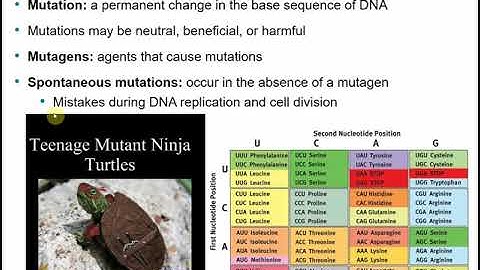 2117 Chapter 8 Part B - Microbial Genetics