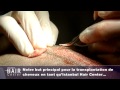 Download İstanbul Hair Center Tanıtım İstanbul Hair Center Tanıtım